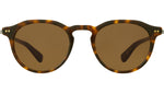 Dorian S Hickory Tortoise