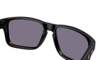 Holbrook S OO9509 02