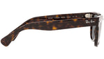 Laramie RB2201 902/B1 tortoise