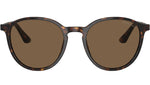AR 8196 502673 Tortoise