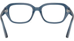 RB7258 Optics 8434