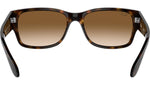RB4388 710/51 Tortoise
