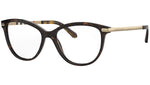 BE2280 3002 Tortoise