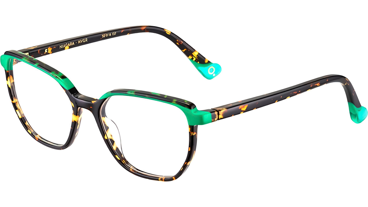 NIAGARA HVGR Tortoise