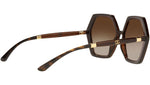 DG 6167 318513 tortoise