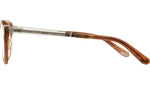 Dorian C Amber Tortoise