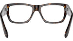 Nomad Wayfarer Optics RB5487 2012
