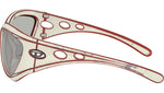 DL3007U 20108V
