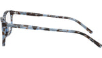 DG 3427 3392 Havana Blue