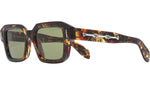 Bones Link 005 02 Brush Stroke