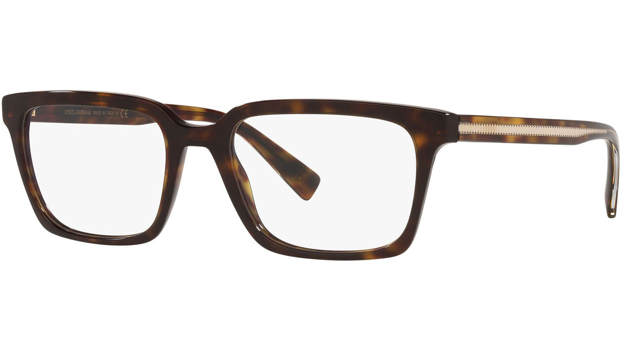 DG 3337 502 tortoise