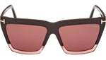 Eden FT1110 50Z Brown Violet