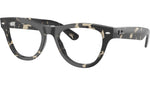 RB5510 Optics 8117