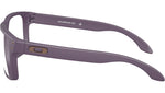 Holbrook RX OX8156 19