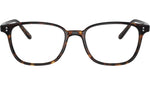 Maslon OV5279U tortoise