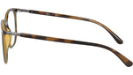 RB7190 Optics 2012