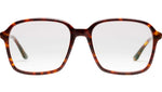 Marguerite Tortoise