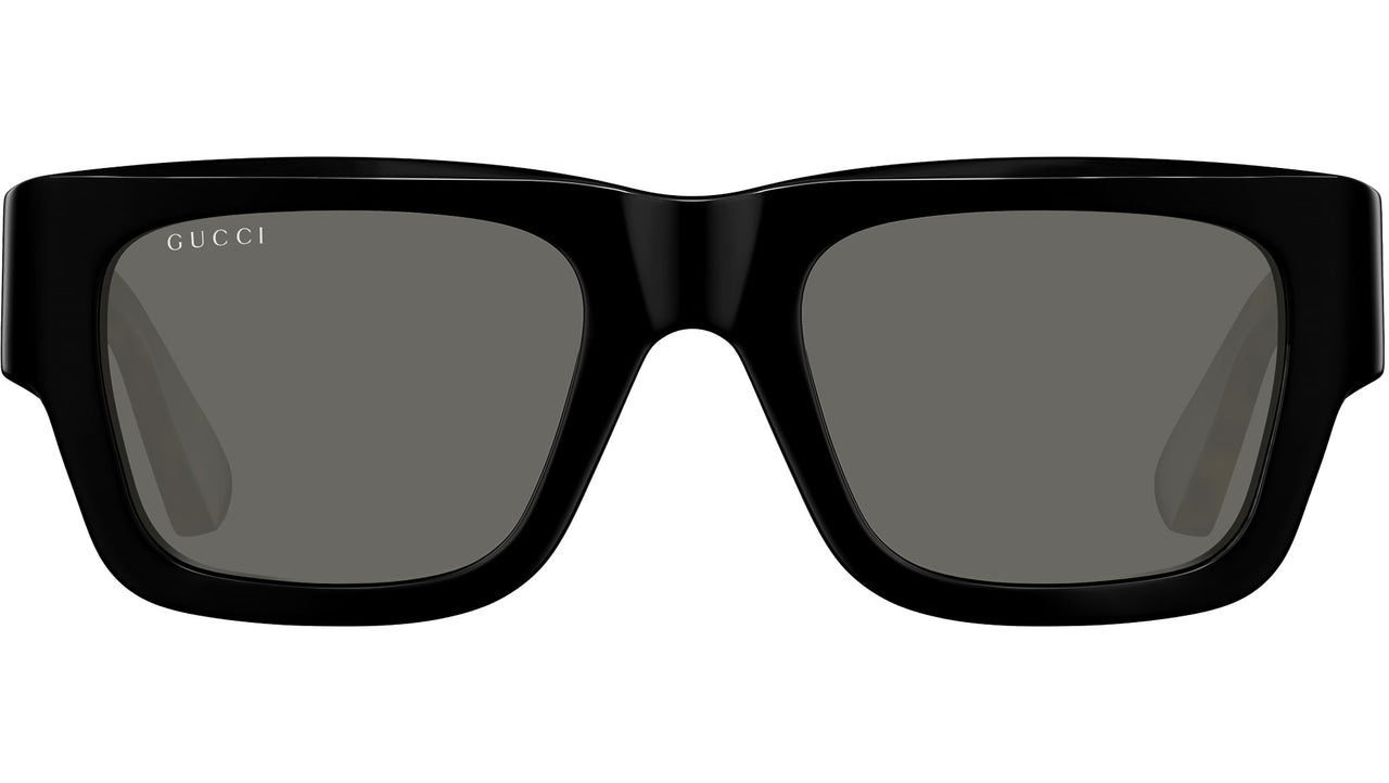 GG1668S 001