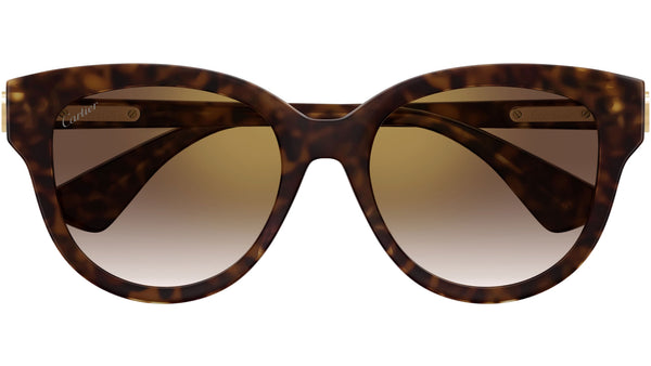 Cartier CT0506S-002 Sunglasses Havana Acetate Oversized CT0506SA-002_1_grande.jpg?v=  main image 3