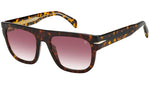 DB 7044/S 2IK 3X Havana Gold