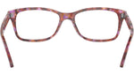 RB5428 Optics 8175