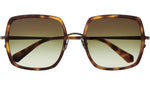 Cora S Yellowjacket Tortoise