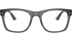 RB7228 Optics 8257