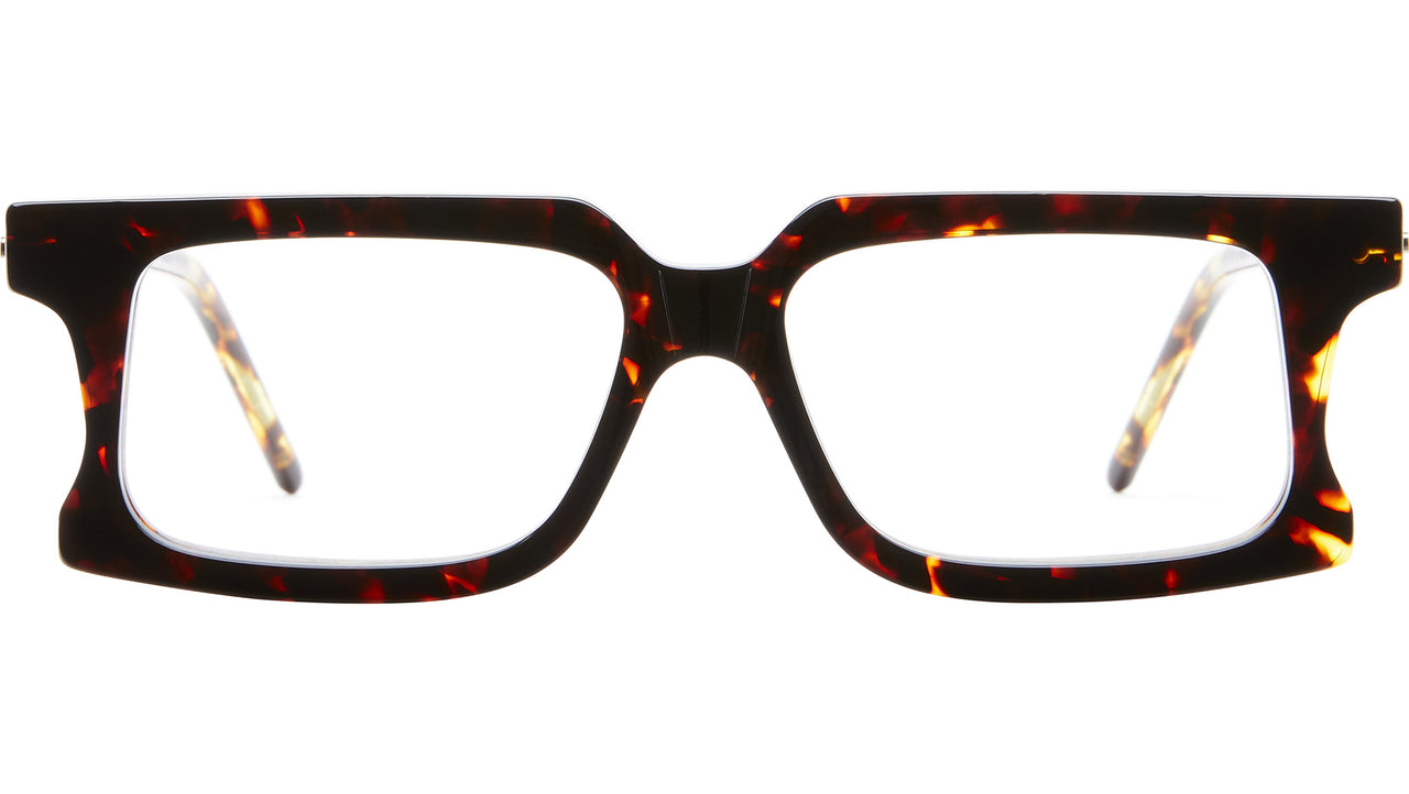 D74 TOR Tortoise