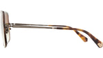 Cora S Yellowjacket Tortoise