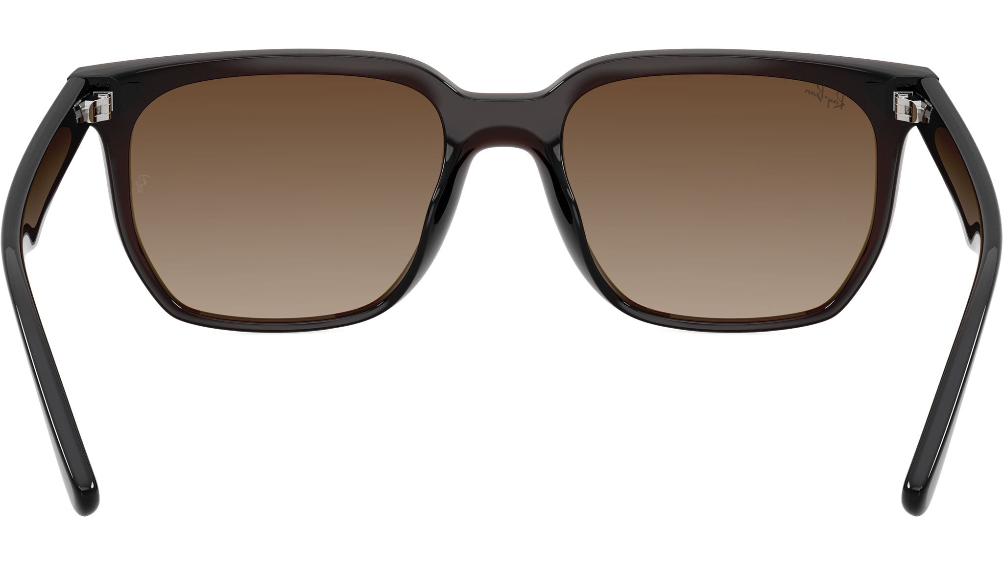 Ray-Ban RB4466D Sunglasses 714/13 Transparent Dark Brown - eye-oo.com