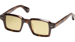 Numero Sun Tortoise