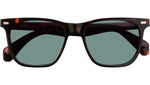 TAZI Classic Havana