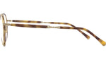 Billie C Yellowjacket Tortoise