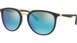 RB4285 601S55 black