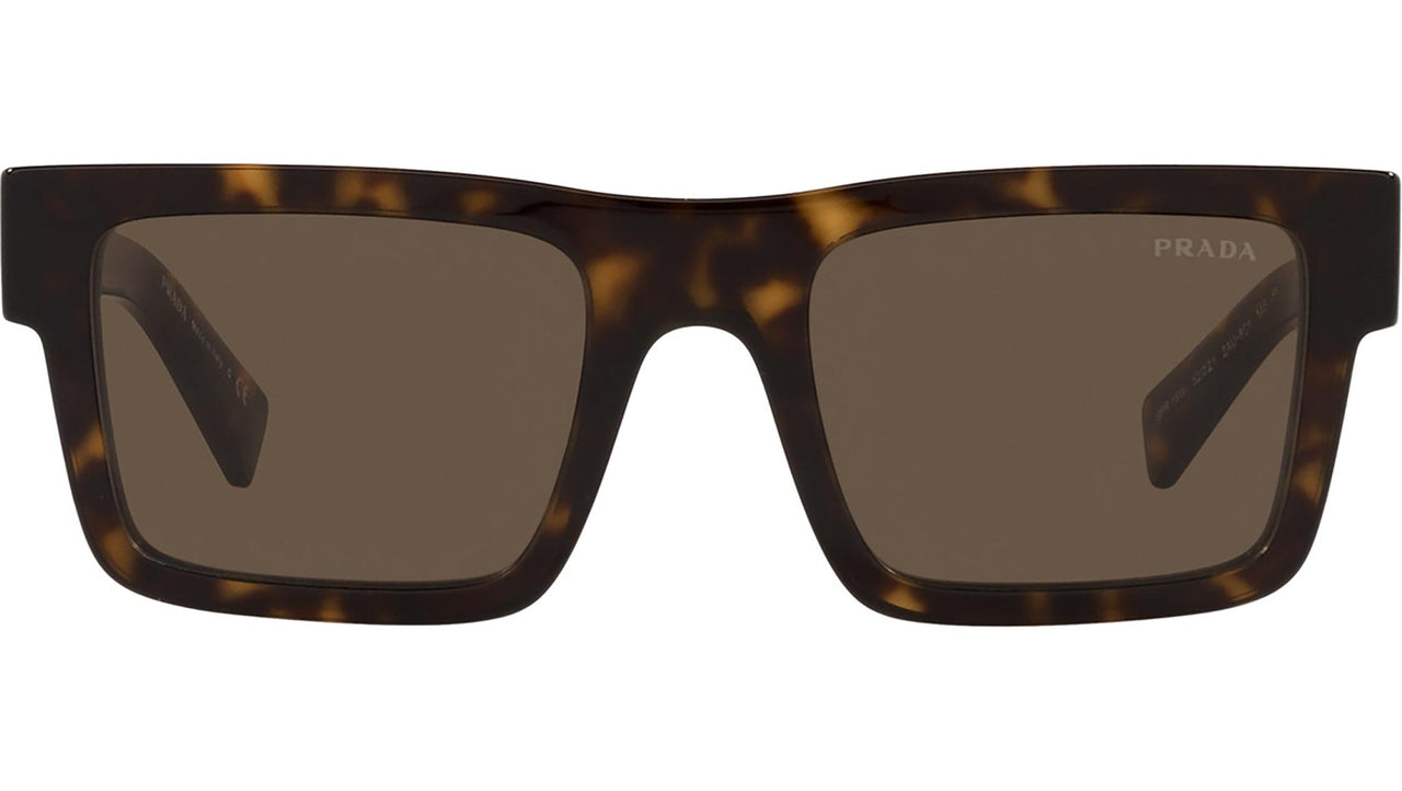 PR 19WS tortoise