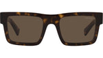 PR 19WS tortoise