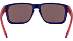 Holbrook XS OJ9007 05