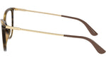 VO5239 W656 tortoise