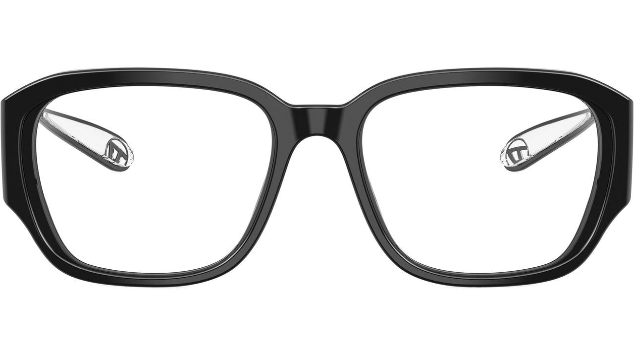 DL4009 2001