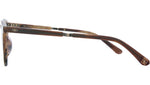 Luckman S Moth Tortoise