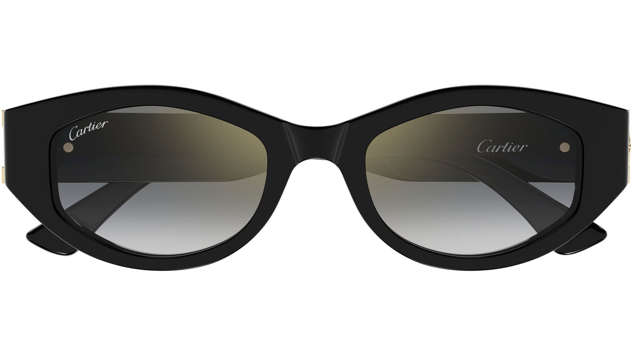 Cartier CT0548SA 001 Sunglasses Shiny Black Grey - eye-oo.com