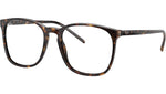 RB5387 Optics 2012