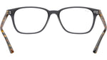 RB7119 Optics 5629