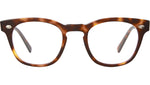 Hanalei C Tortoise