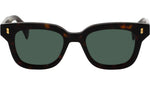 TUTTO Tortoise