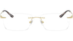 RB8781D Optics 1251