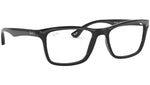 RB5279 shiny black