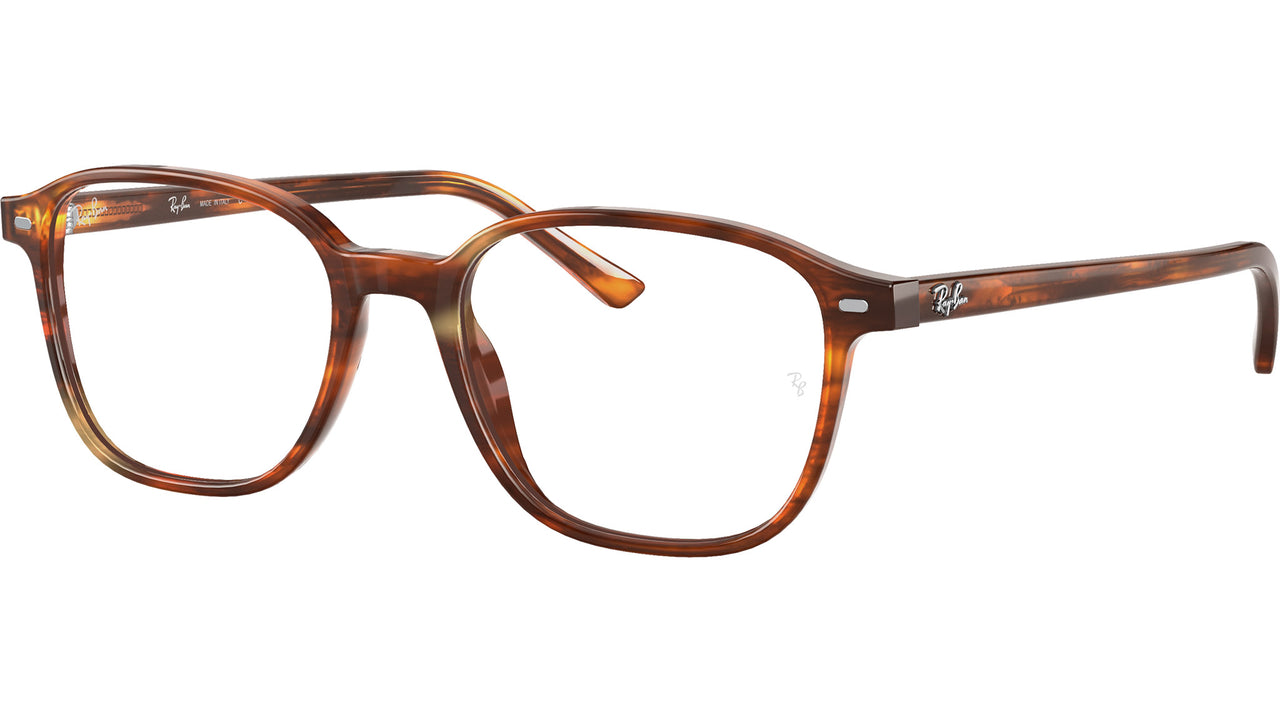 Leonard Optics RB5393 2144
