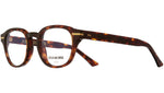 1356 Optical 02 Dark Turtle