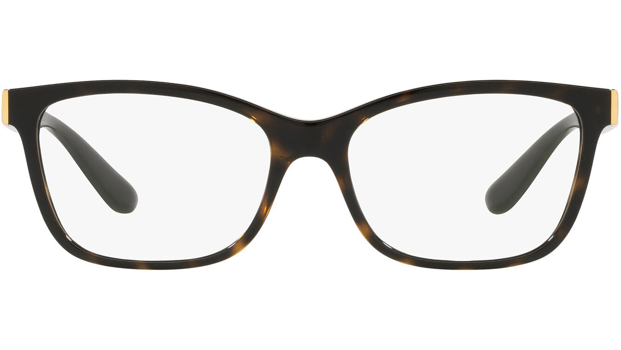 DG 5077 502 tortoise